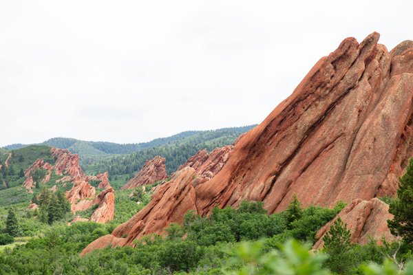les formations les plus pertinentes pour améliorer ses compétences en gestion de la performance organisationnelle